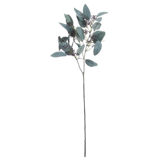 Seeded Eucalyptus Stem Makur Interior