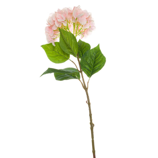 Single Pink Hydrangea Makur Interior