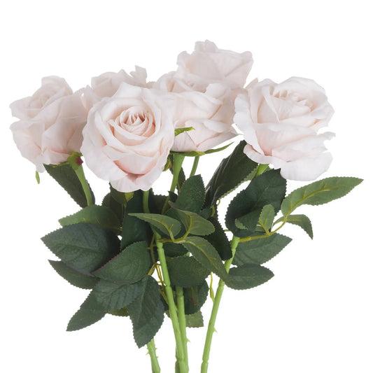 Pastel Pink Tea Rose Makur Interior