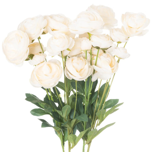 Cream Ranunculus Makur Interior