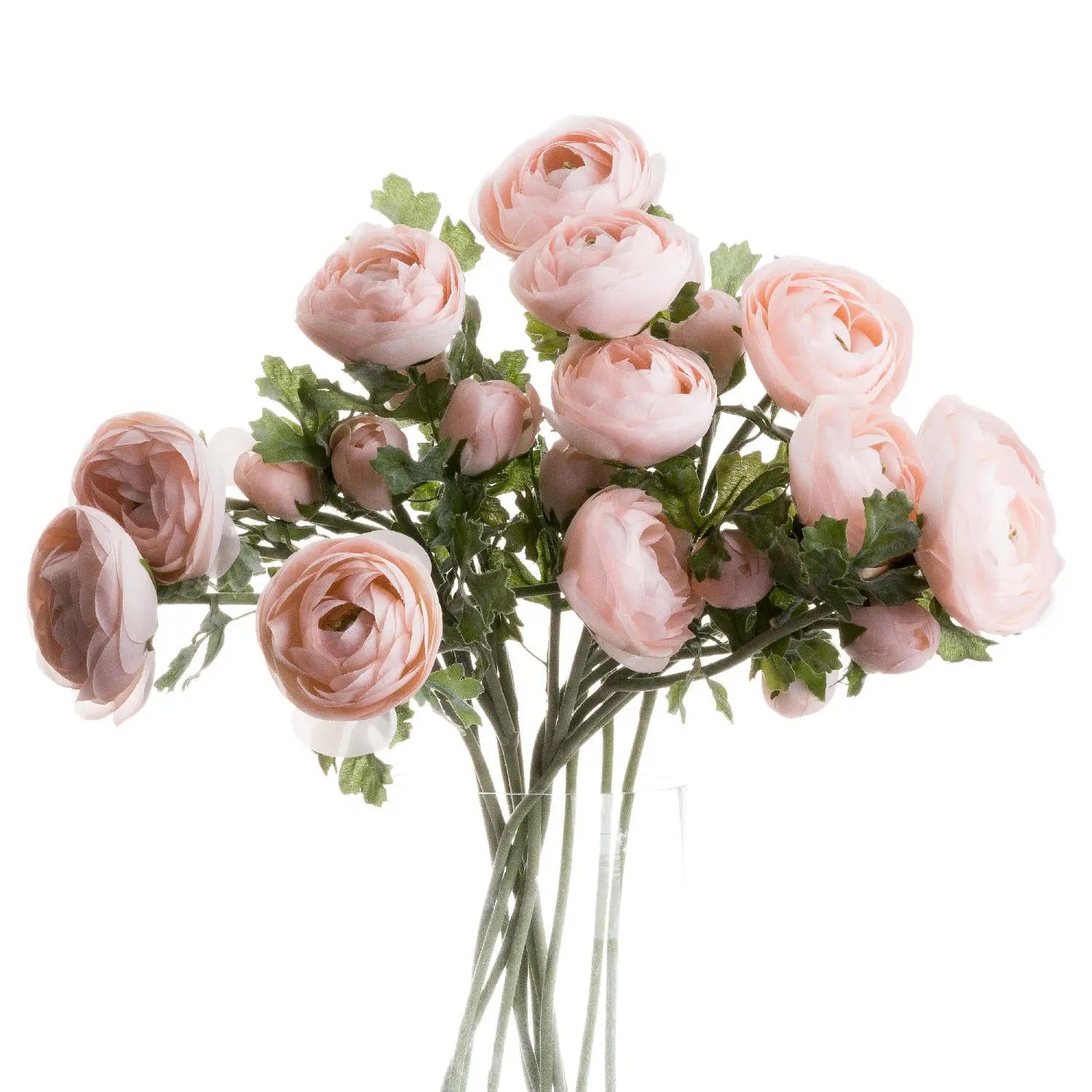 Pastel Pink Ranunculus Makur Interior