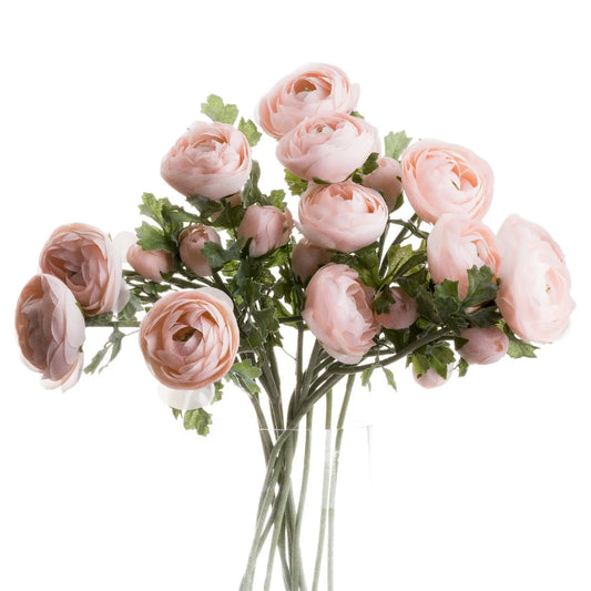 Pastel Pink Ranunculus Makur Interior