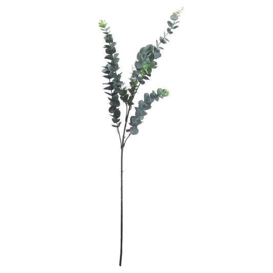 Silver Dollar Eucalyptus Makur Interior