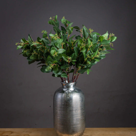 Summer Seeded Eucalyptus Makur Interior