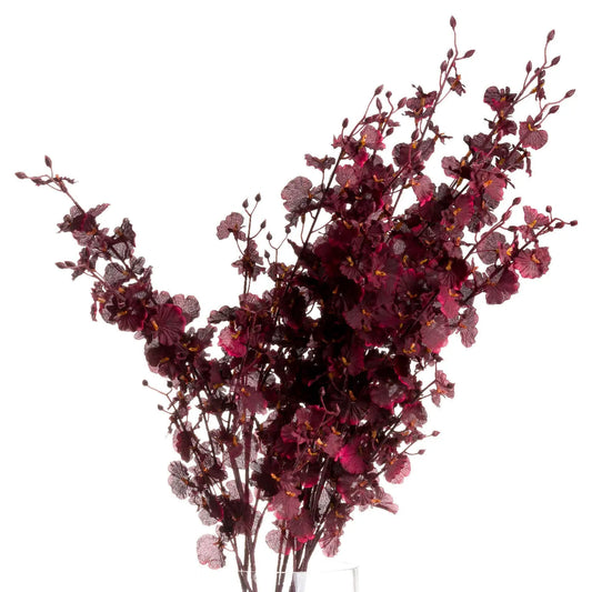 Deep Burgundy Orchid Spray Makur Interior