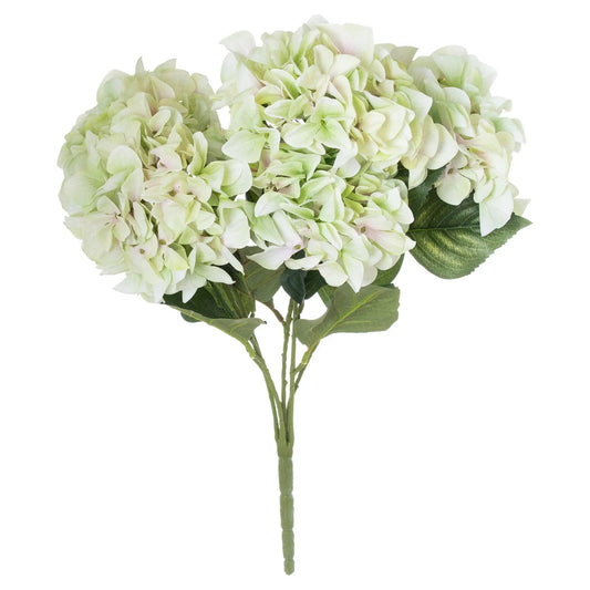 Shabby Green Hydrangea Bouquet Makur Interior