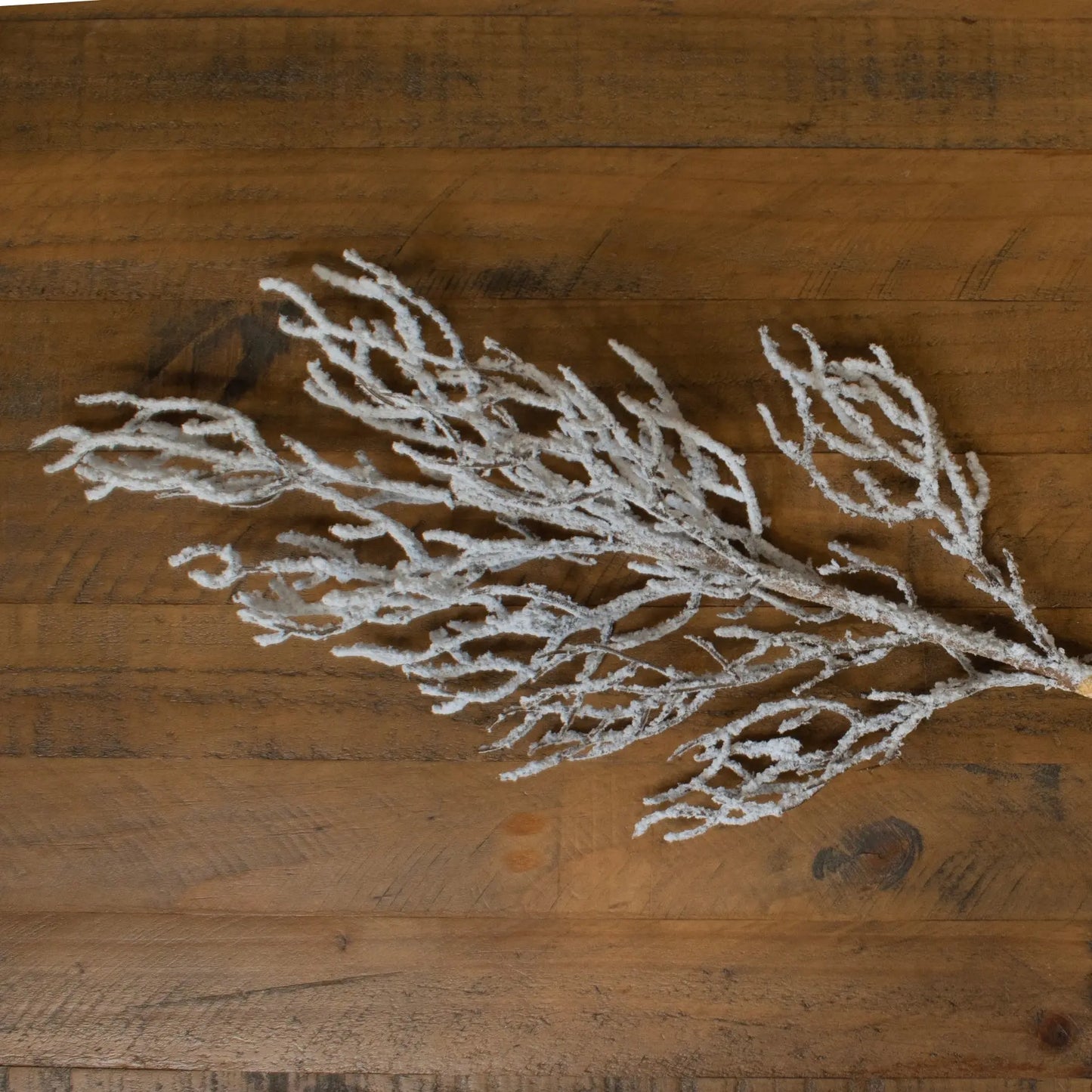 Snow Covered Branch Makur Interior