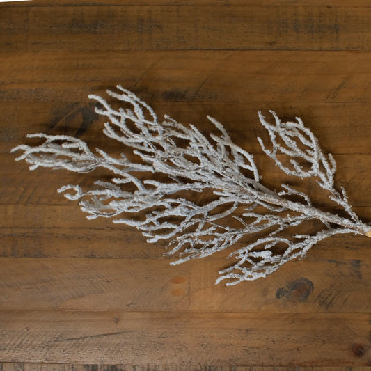 Snow Covered Branch Makur Interior
