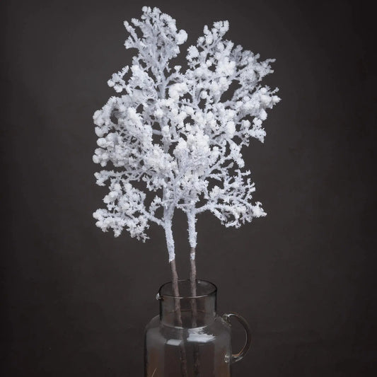 Snowy Branch Makur Interior