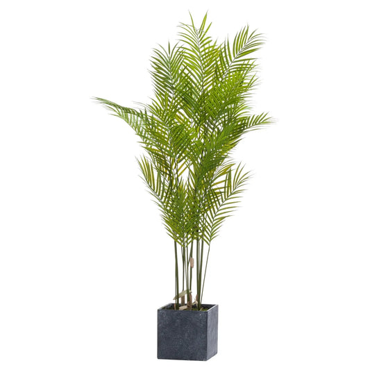 Large Paradise Potted Palm Makur Interior