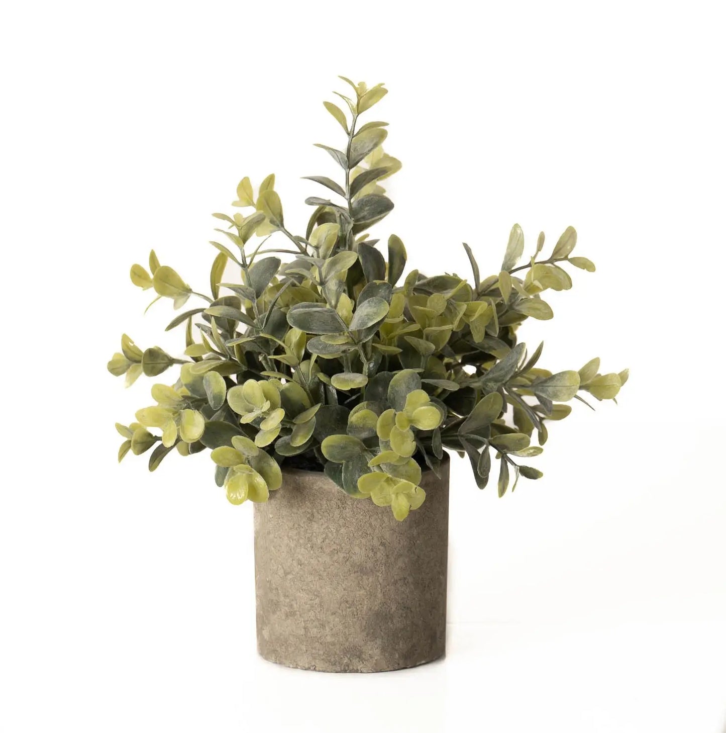 Eucalyptus Plant In Stone Effect Pot Makur Interior