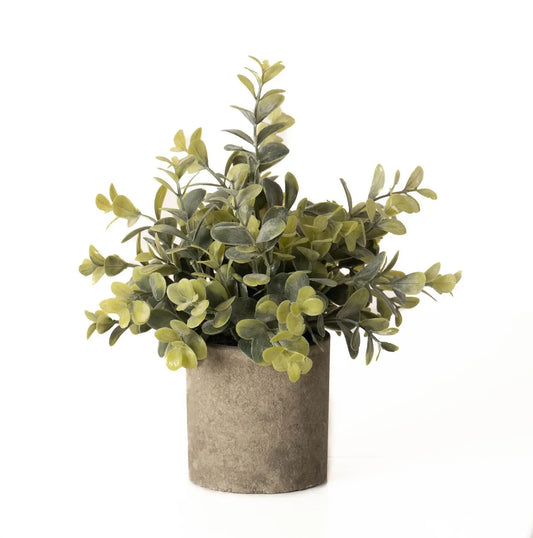 Eucalyptus Plant In Stone Effect Pot Makur Interior