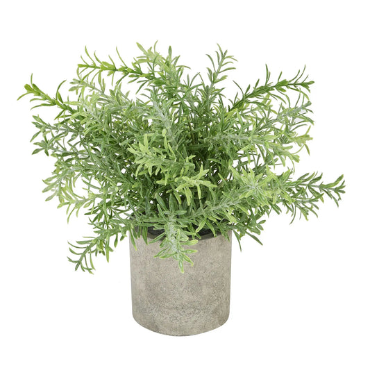 Rosemary Plant In Stone Effect Pot Makur Interior