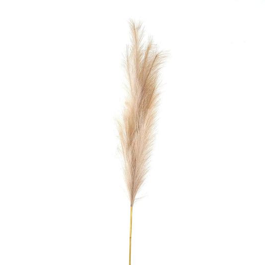 Bleached  Large Faux Pampas Grass Stem Makur Interior