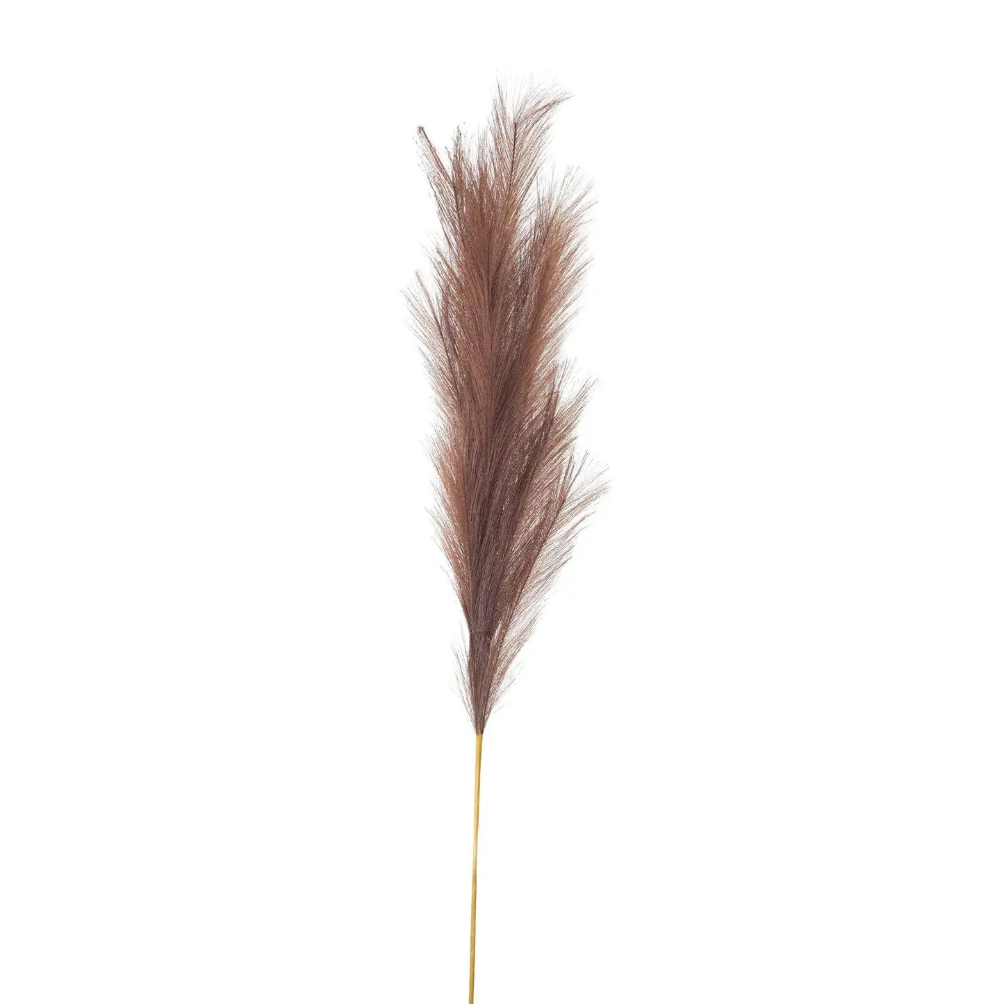Taupe Large Faux Pampas Grass Stem Makur Interior