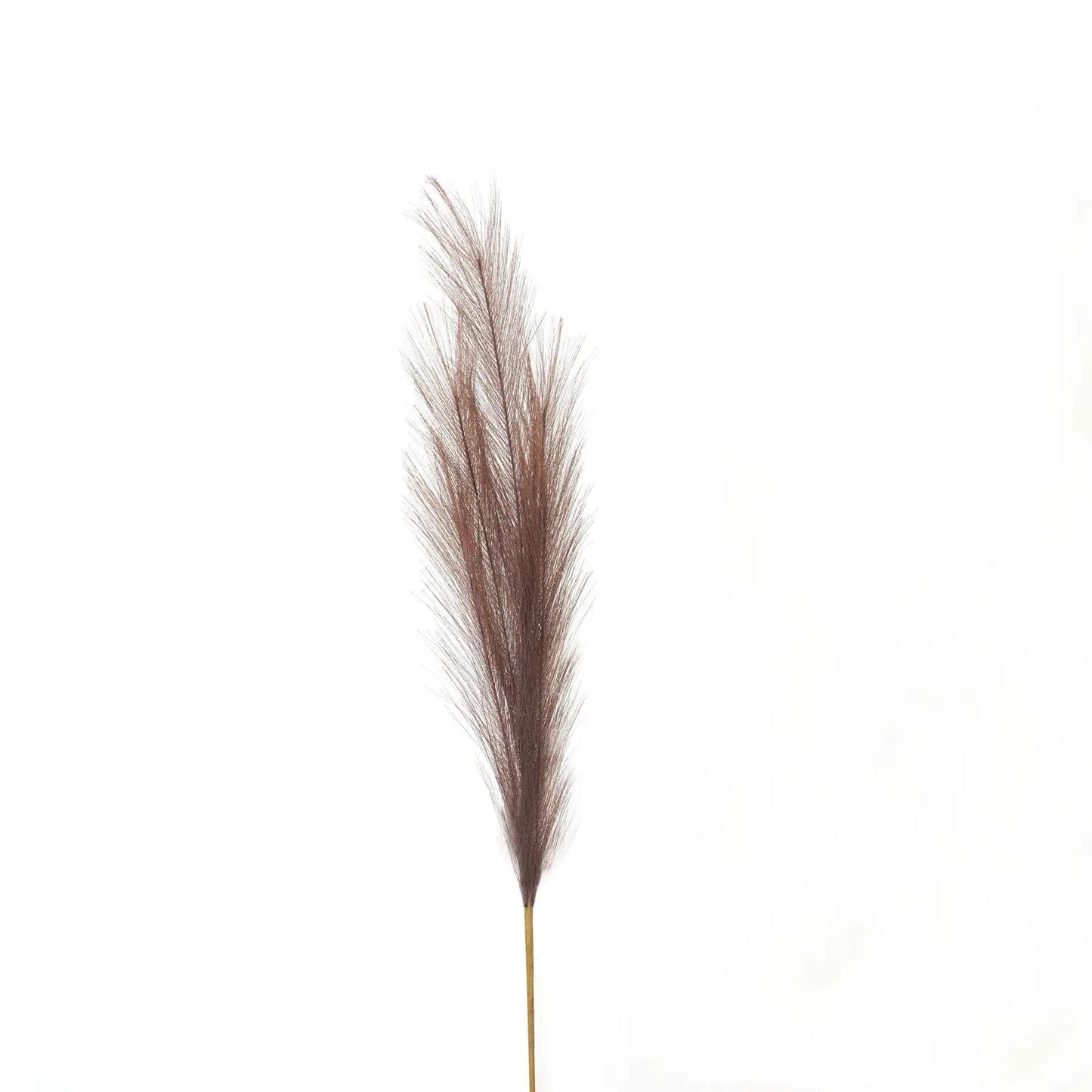 Taupe Faux Pampas Grass Stem Makur Interior
