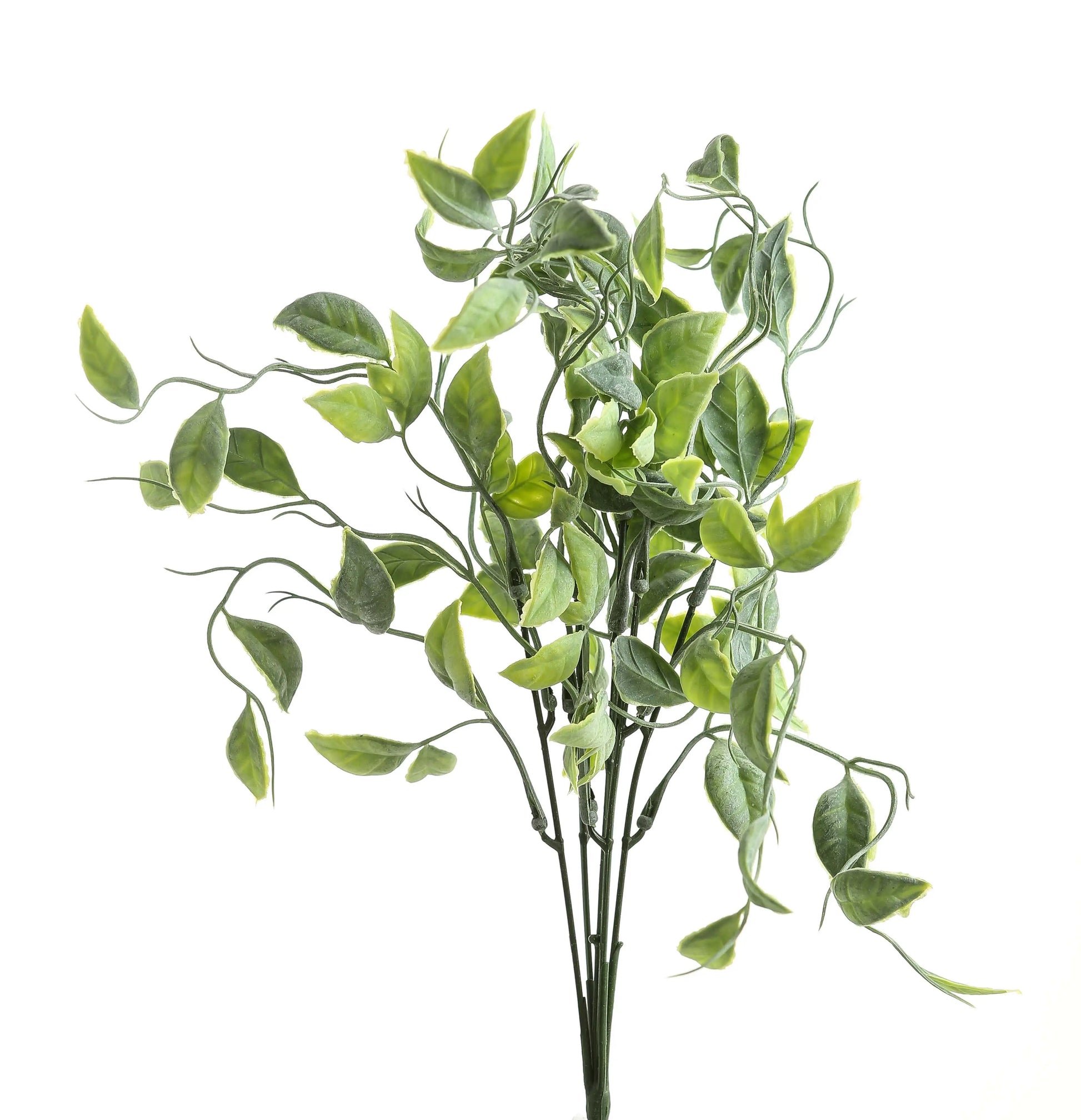 Green Shoots Greenery Bunch Makur Interior