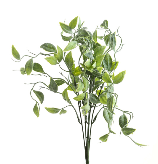 Green Shoots Greenery Bunch Makur Interior