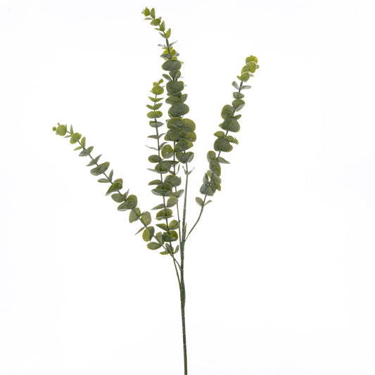 Gunnii Eucalyptus Spray Makur Interior
