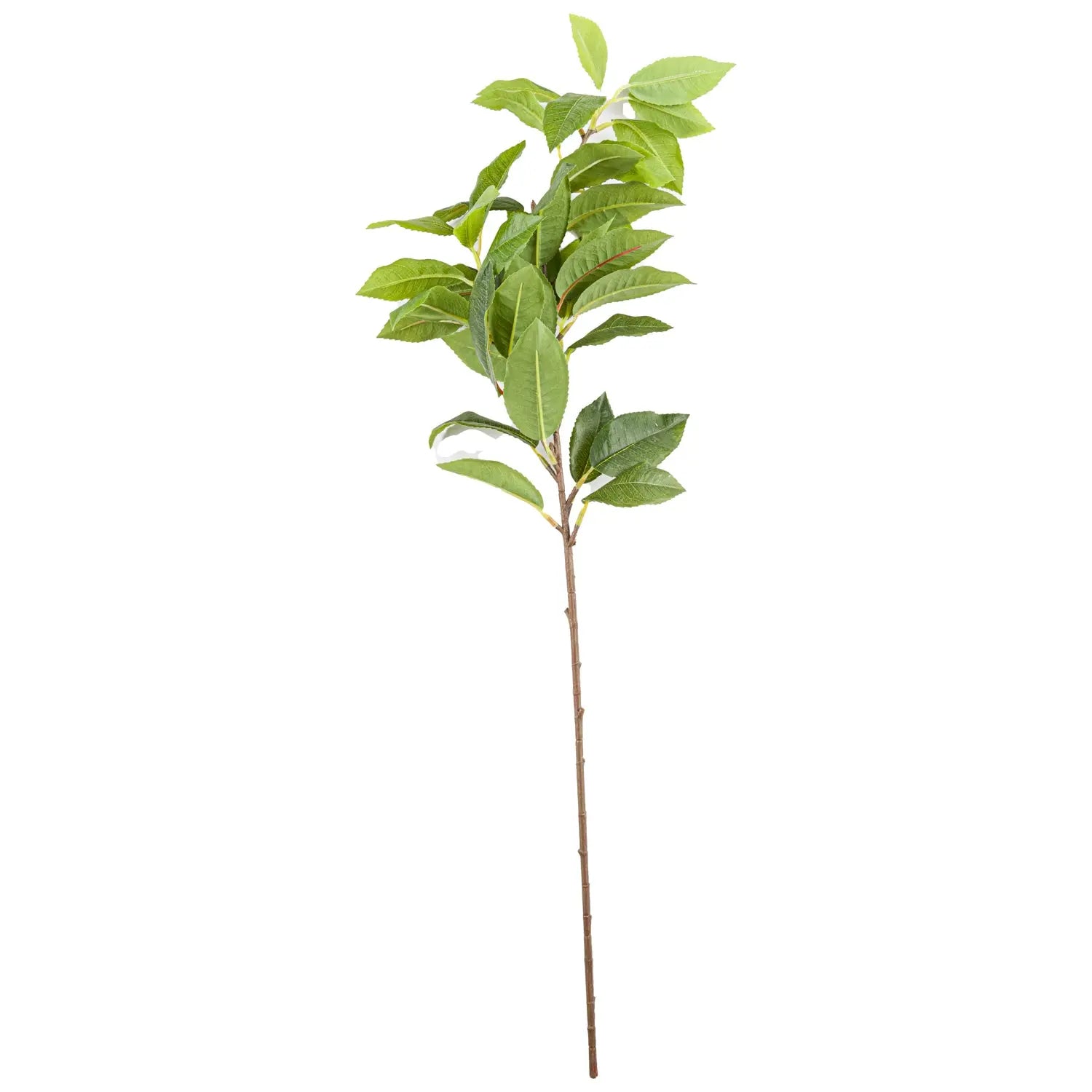 Laurel Leaf Spray Makur Interior