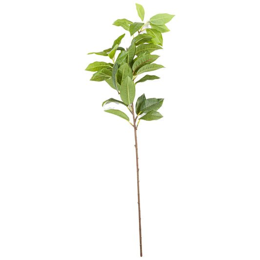 Laurel Leaf Spray Makur Interior
