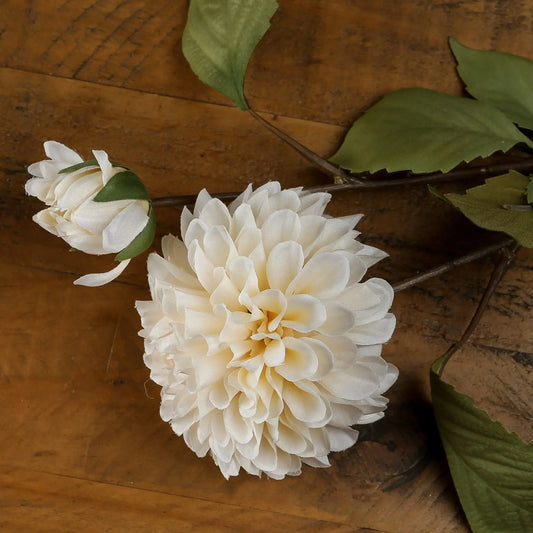 White Dahlia Stem Makur Interior