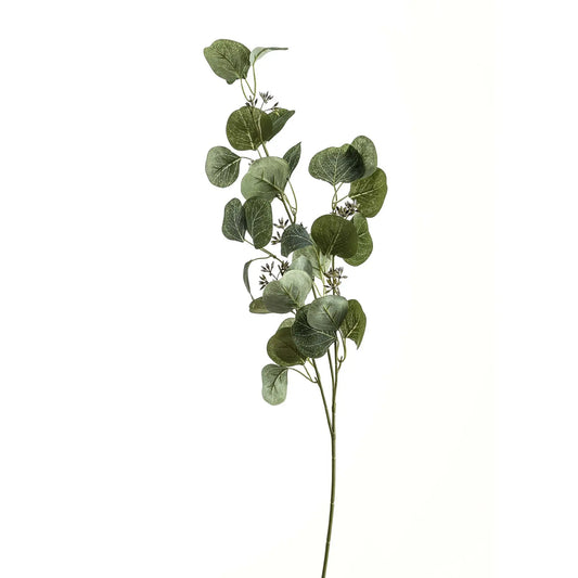Eucalyptus Stem Spray Makur Interior