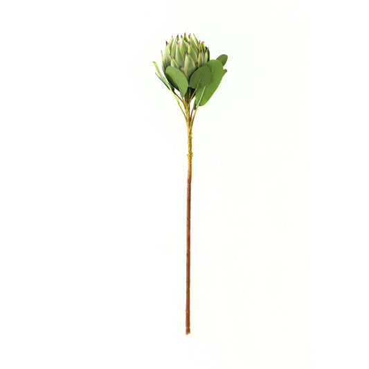 Large Green Protea Makur Interior