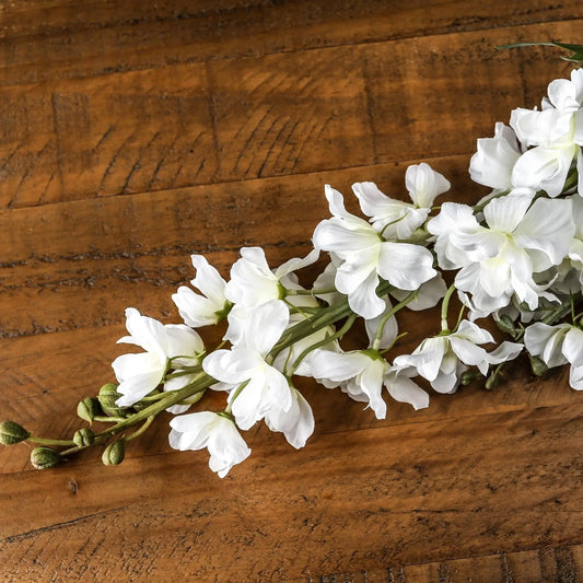 Tall White Delphinium Stem Makur Interior