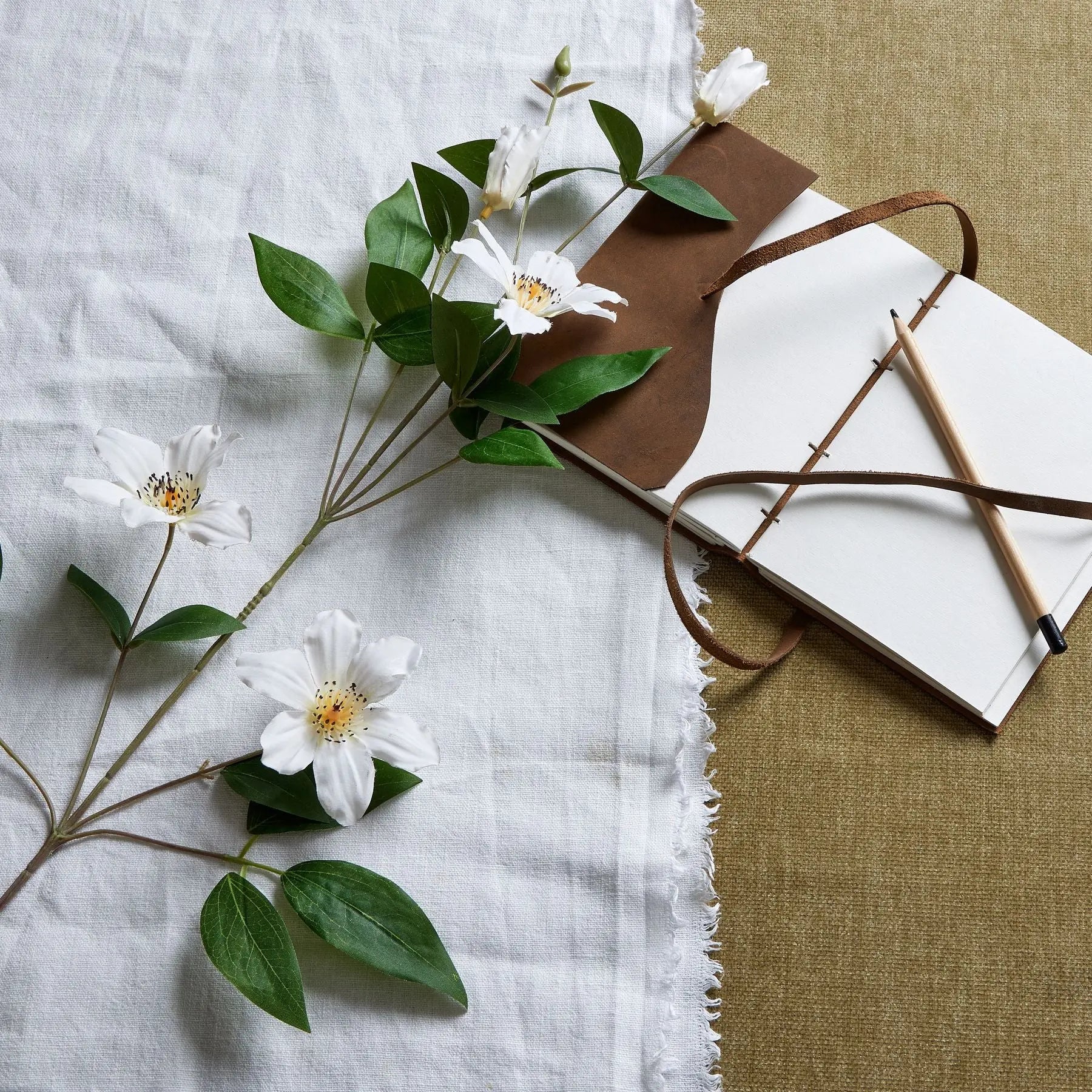 White Florida Clematis Makur Interior