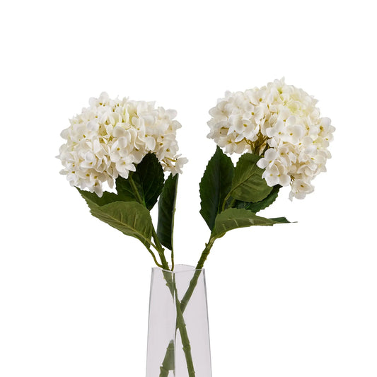 White Hydrangea Stem Makur Interior