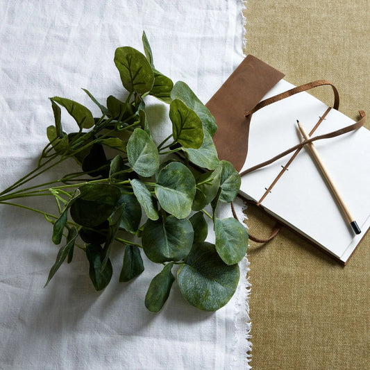 Short Eucalyptus Bunch Makur Interior