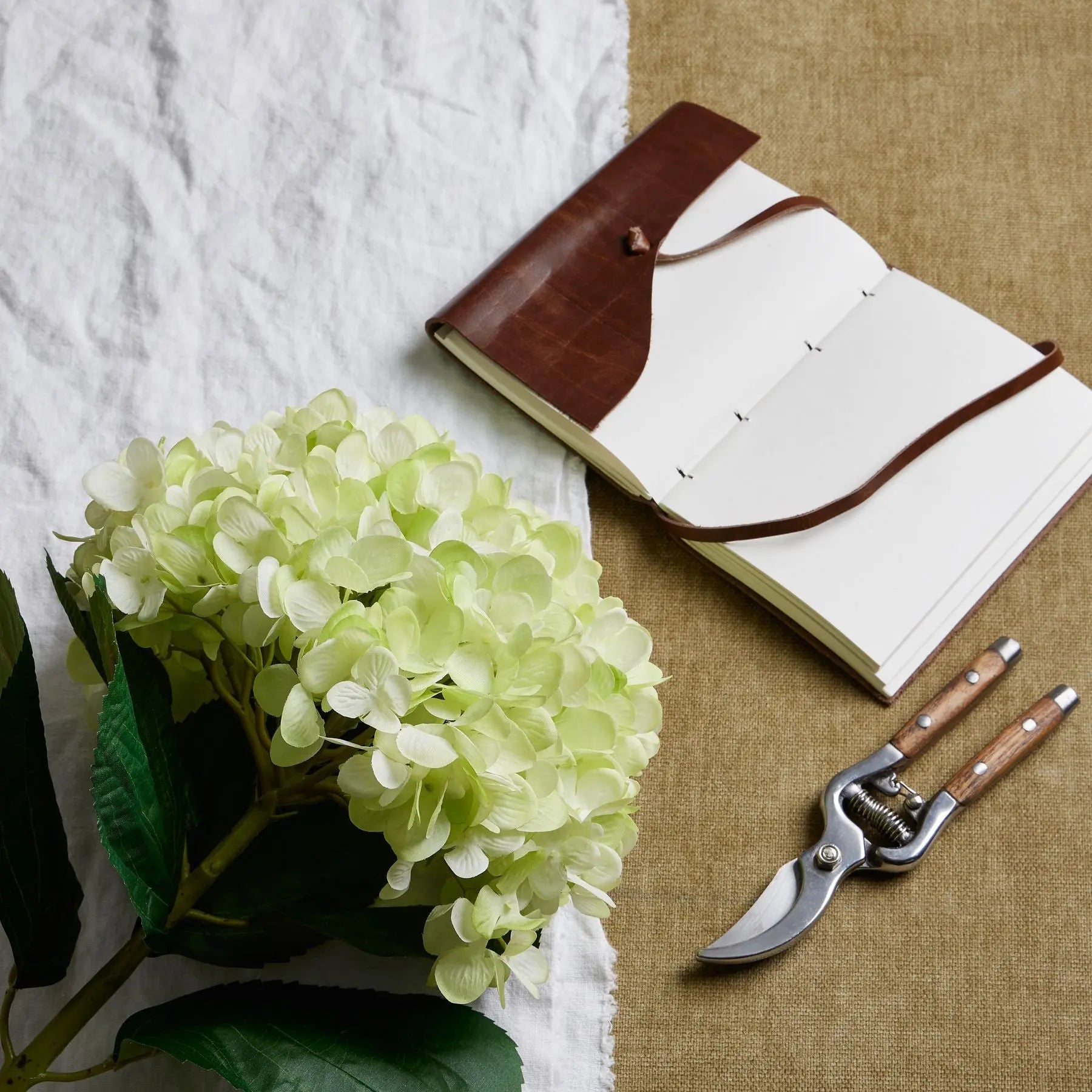 Oversized Green Hydrangea Makur Interior