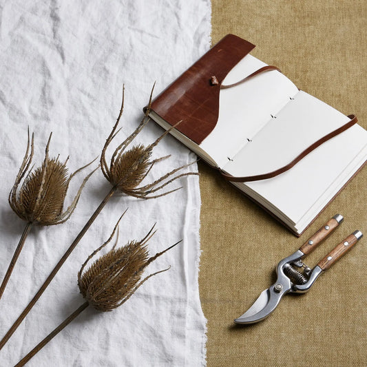 Large Brown Triple Teasle Stem Makur Interior