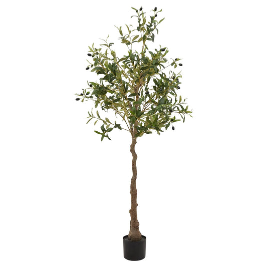 Calabria Olive Tree Makur Interior