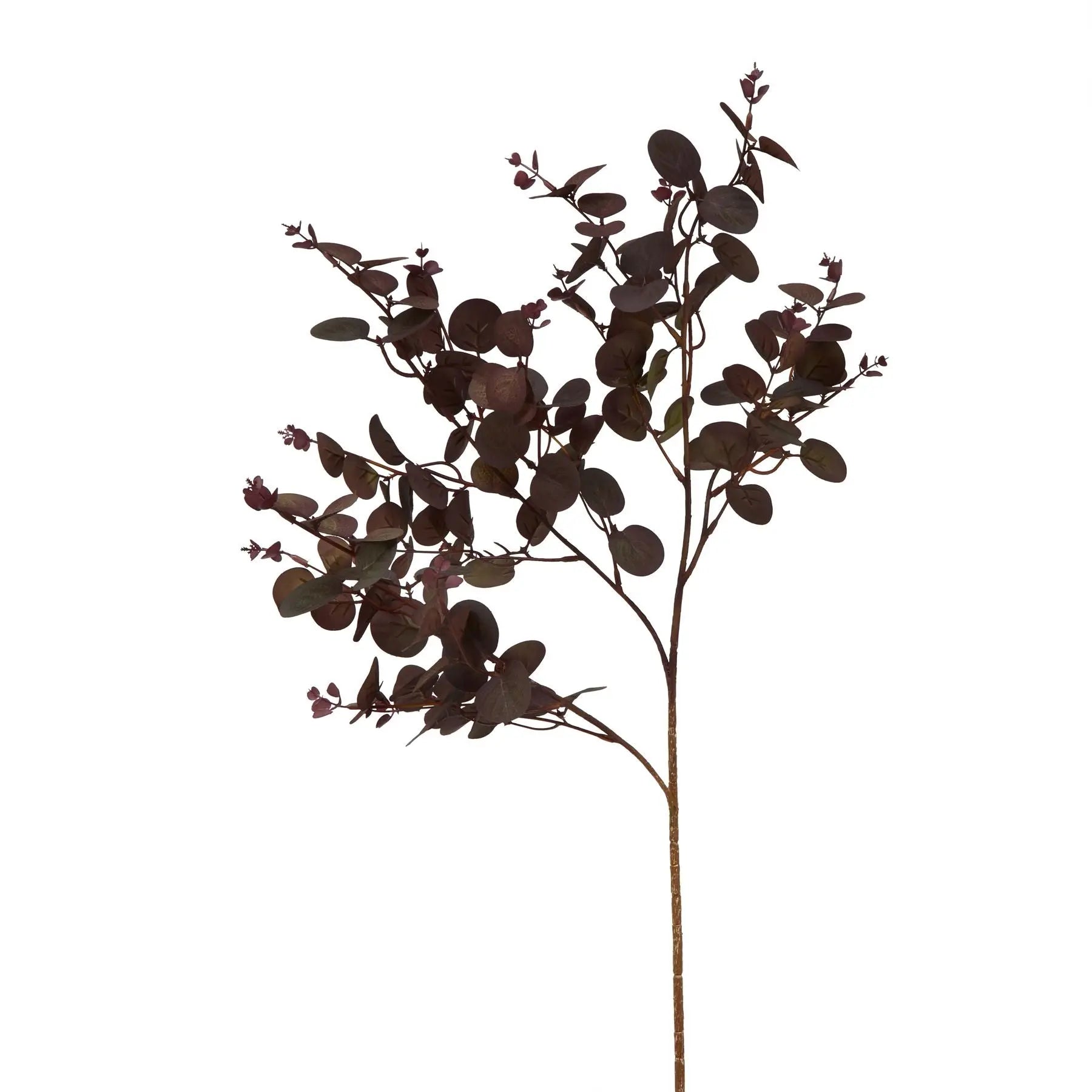 Burgundy Eucalyptus Bunch Makur Interior