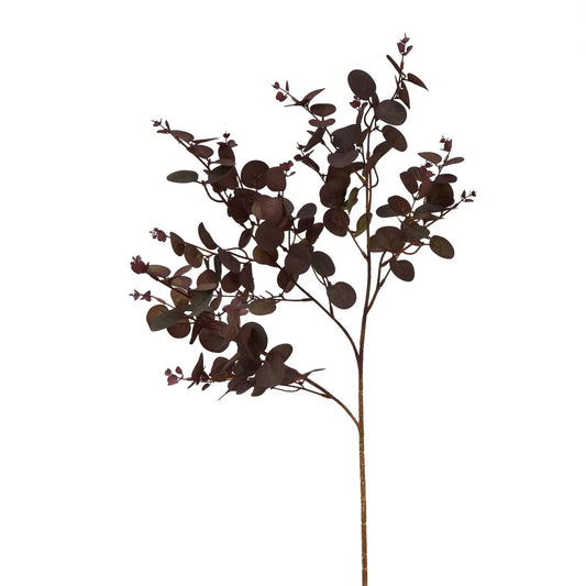 Burgundy Eucalyptus Bunch Makur Interior