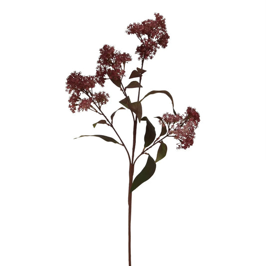 Medium Burgundy Smokebush Stem Makur Interior