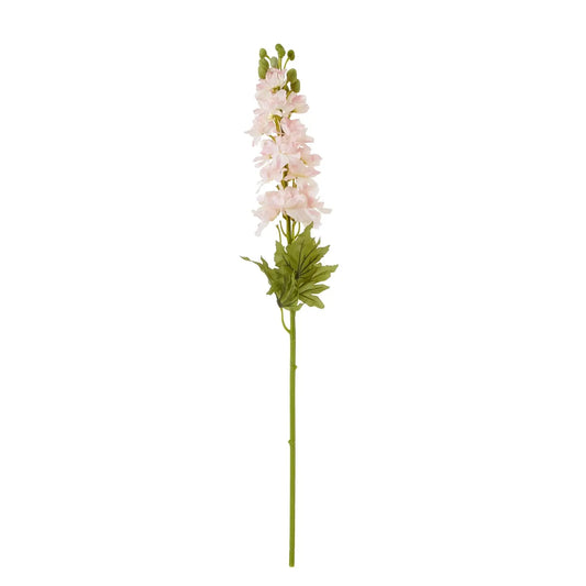 The Natural Garden Collection Pink Elatum Delphinium Makur Interior