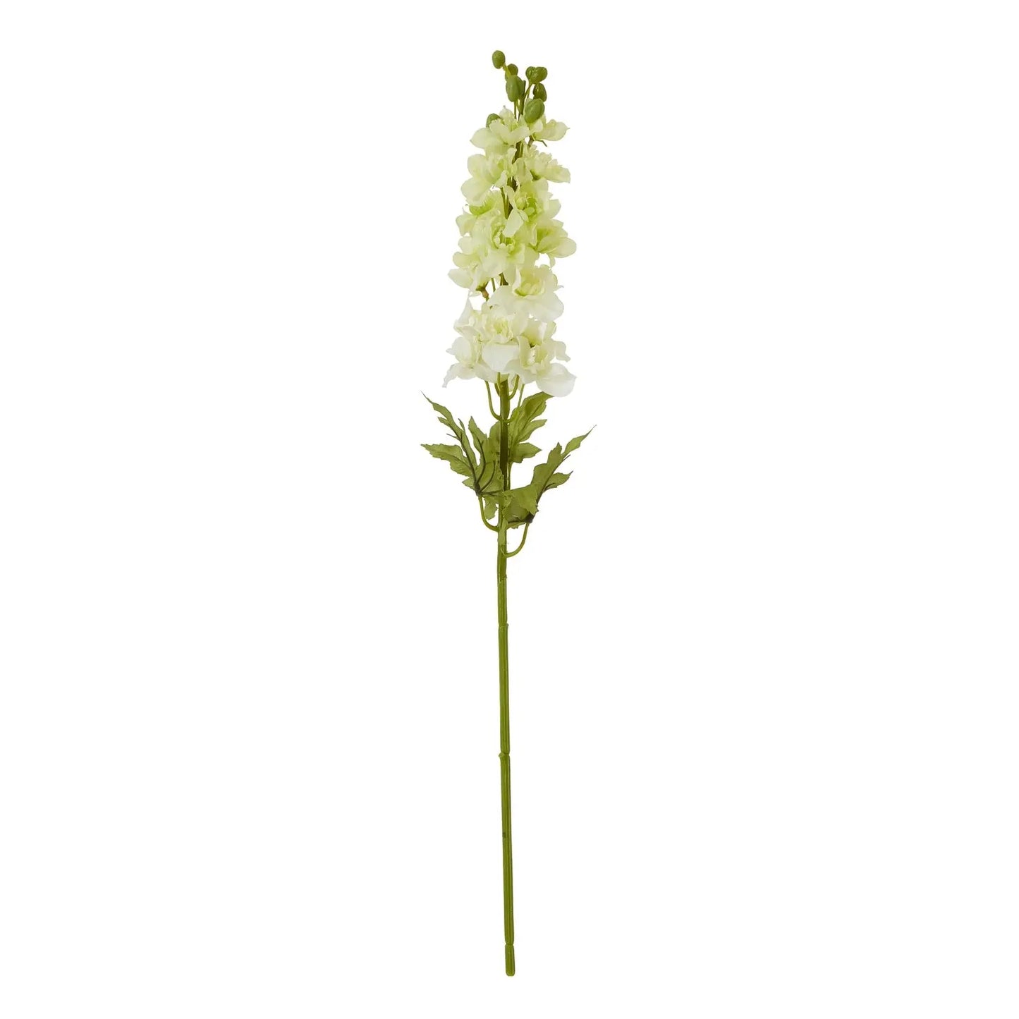 The Natural Garden Collection White Elatum Delphinium Makur Interior