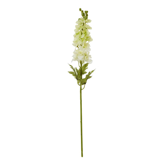 The Natural Garden Collection White Elatum Delphinium Makur Interior