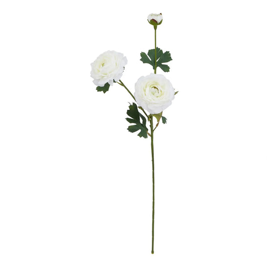 The Natural Garden Collection White Ranunculus Makur Interior