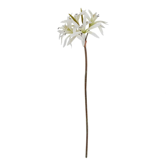 The Natural Garden Collection White Nerine Lily Stem Makur Interior