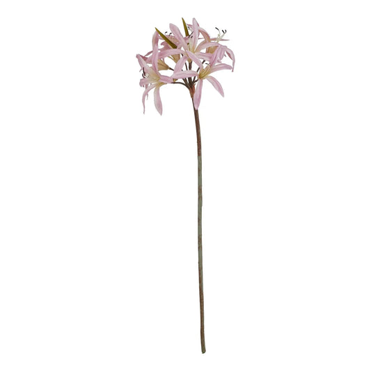 The Natural Garden Collection Pink Lily Stem Makur Interior