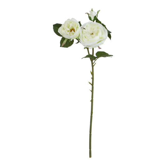 The Natural Garden Collection White Charity Rose Makur Interior