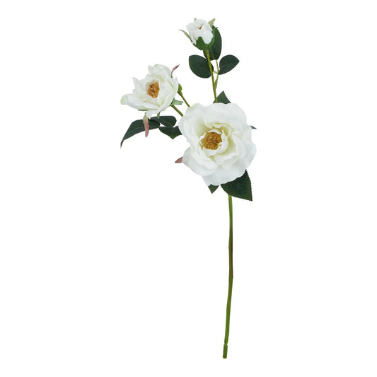 The Natural Garden Collection White Tea Rose Makur Interior