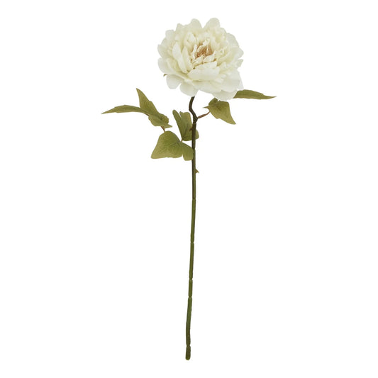 The Natural Garden Collection White Peony Makur Interior