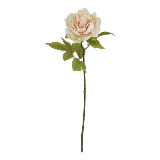 The Natural Garden Collection Blush Peony Makur Interior