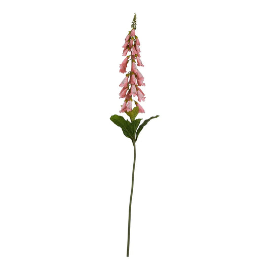 The Natural Garden Collection Pale Pink Foxglove Makur Interior