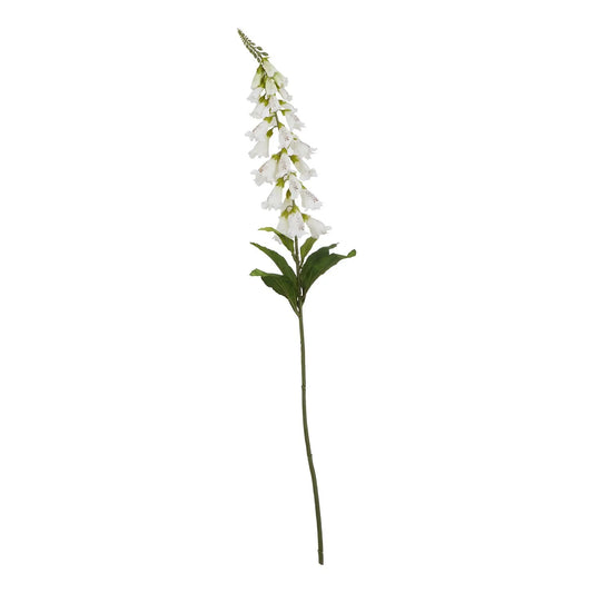 The Natural Garden Collection White Foxglove Makur Interior